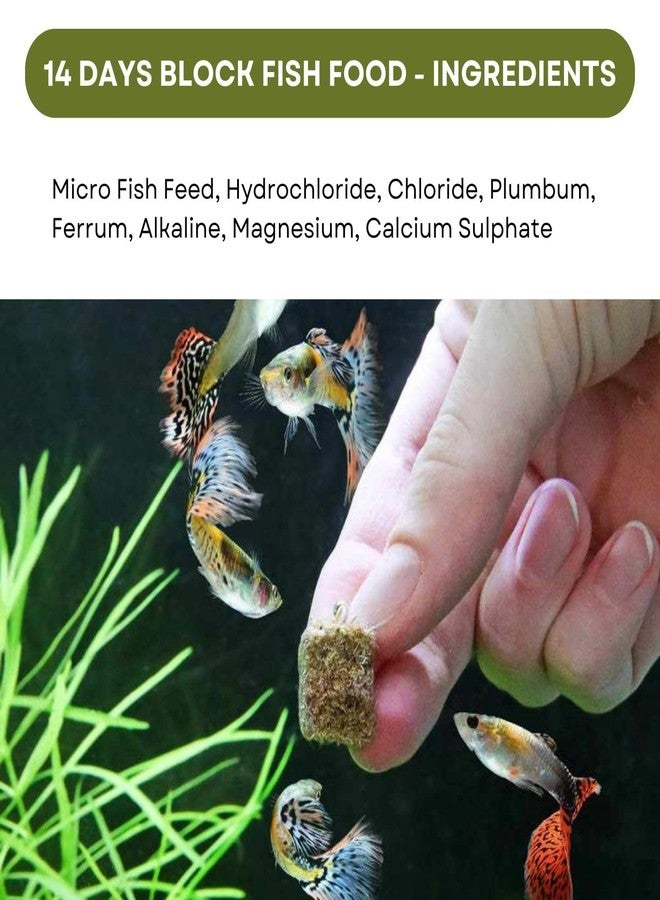 TUNAI SF+ Star 14 Days Extended Holiday Fish Food, (Pack of 2) | Adequate Nourishment for Your Aquarium Fish - Image 4